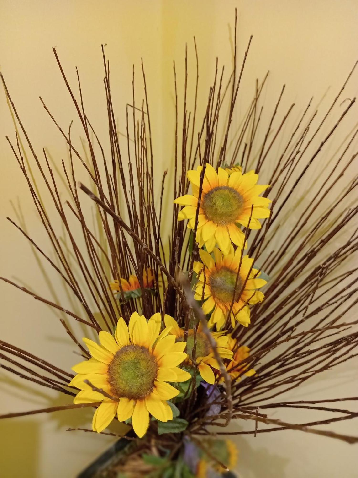 A1 Girasole B&B Castelnuovo Di Porto Exteriör bild