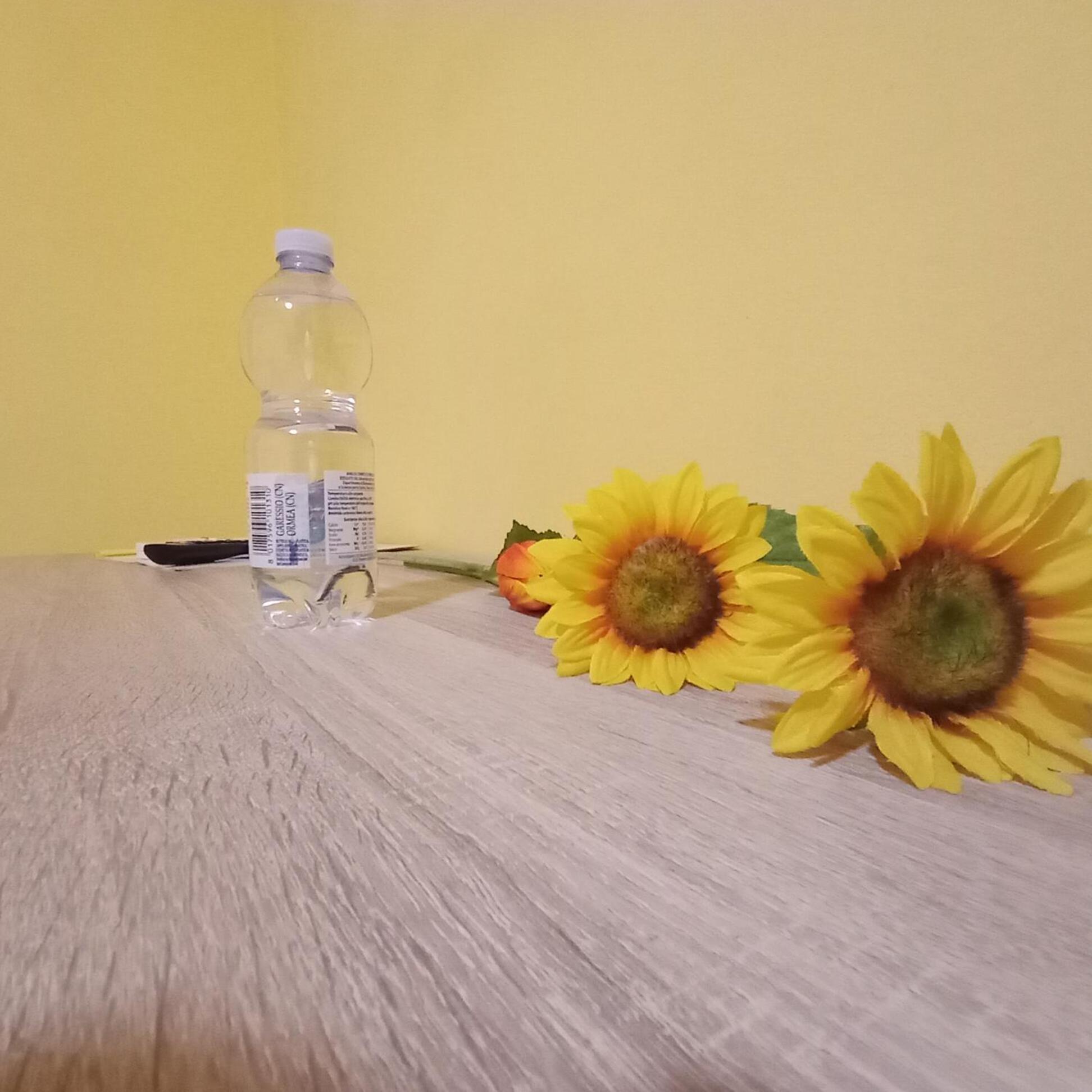 A1 Girasole B&B Castelnuovo Di Porto Exteriör bild