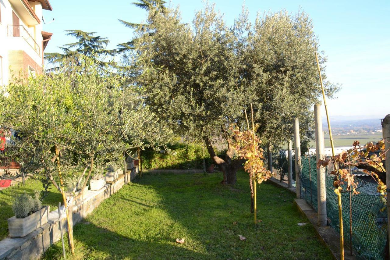 A1 Girasole B&B Castelnuovo Di Porto Exteriör bild