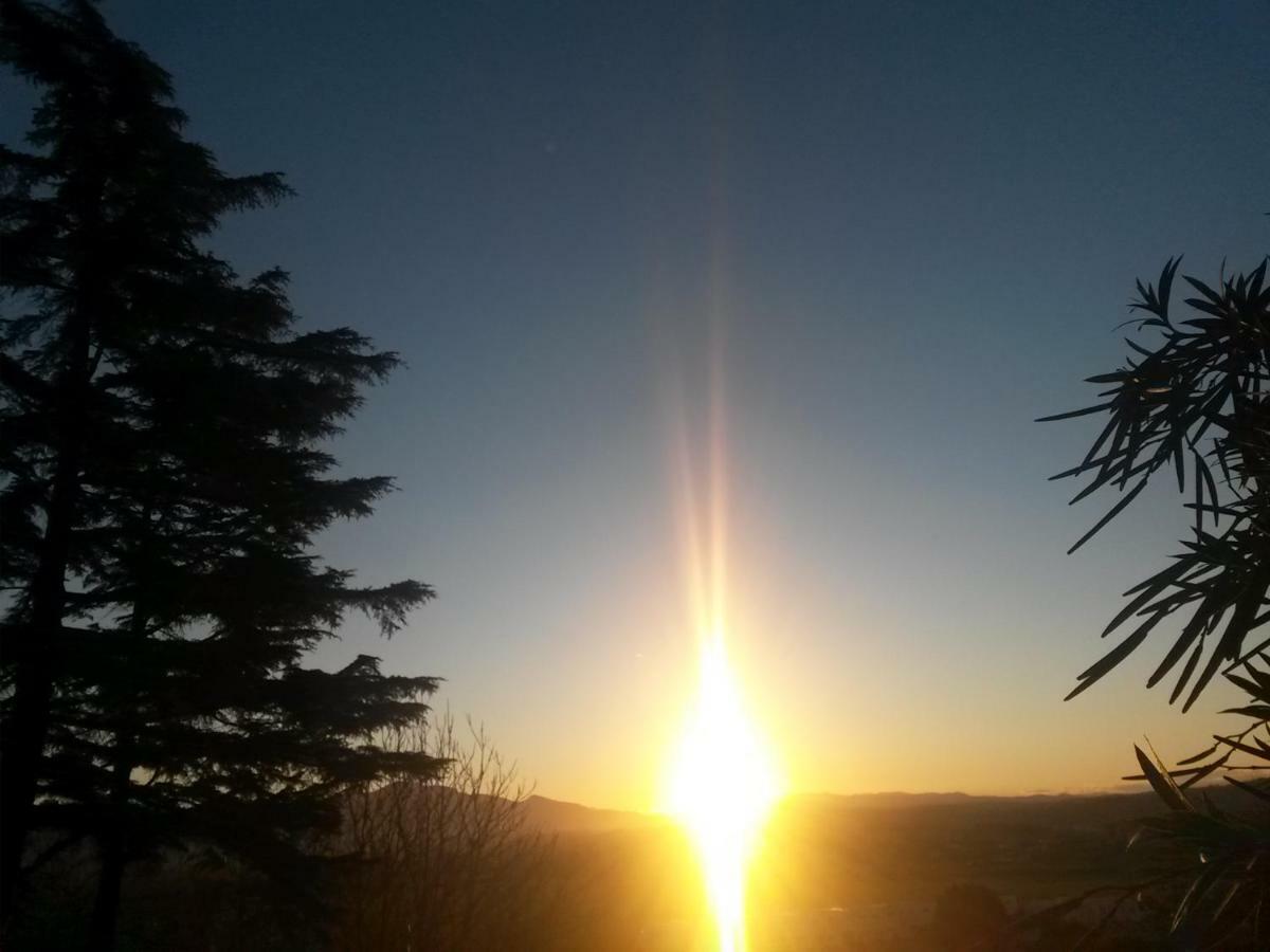 A1 Girasole B&B Castelnuovo Di Porto Exteriör bild