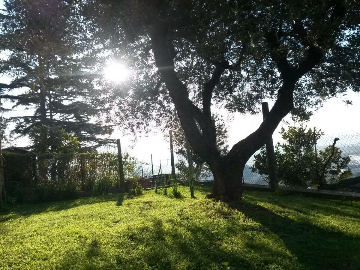 A1 Girasole B&B Castelnuovo Di Porto Exteriör bild
