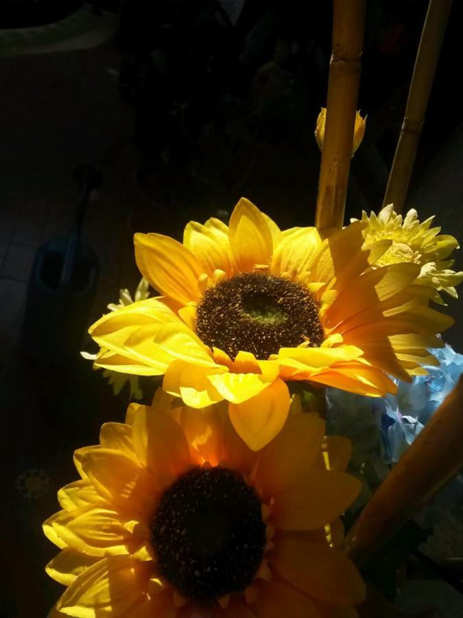 A1 Girasole B&B Castelnuovo Di Porto Exteriör bild